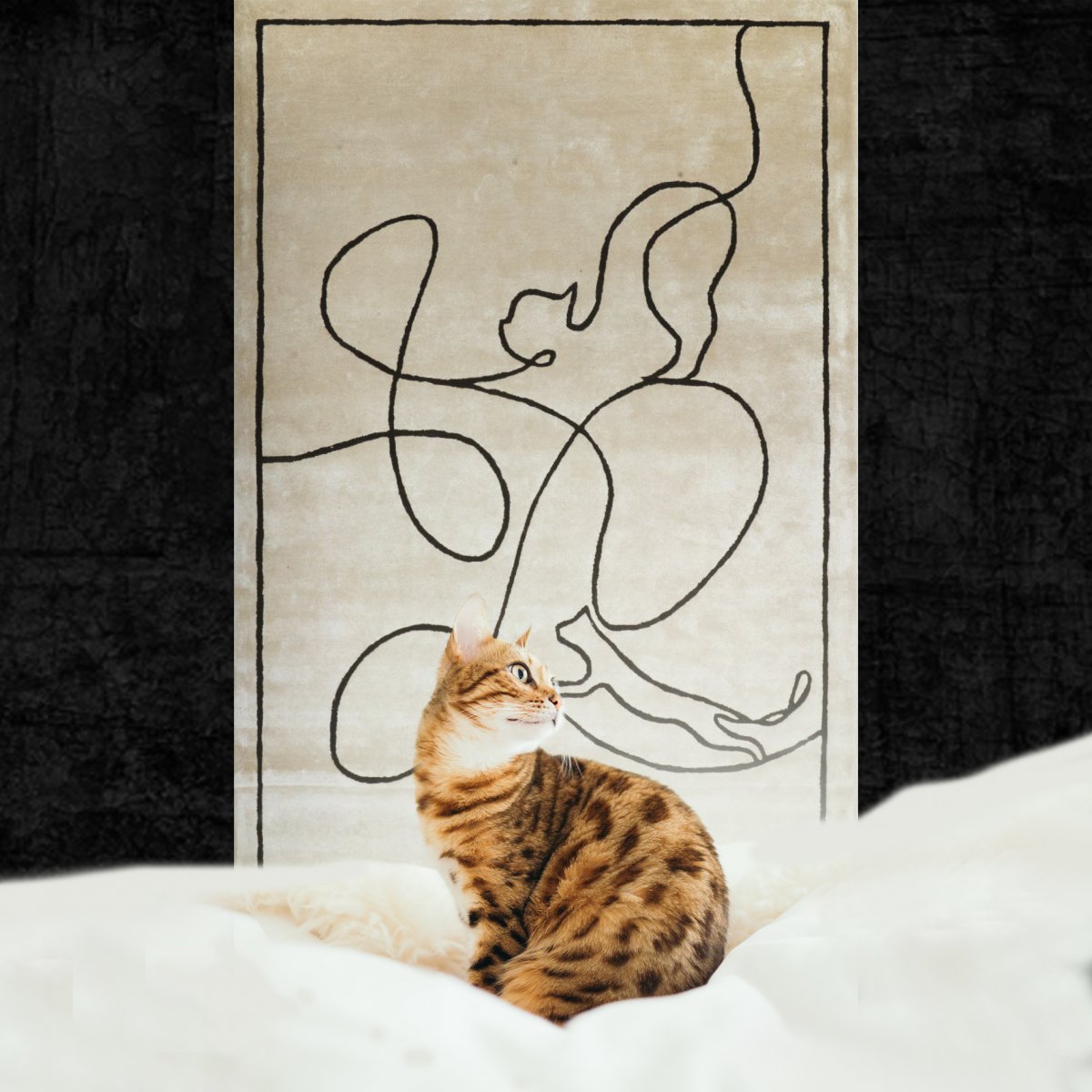 Cats Ivory